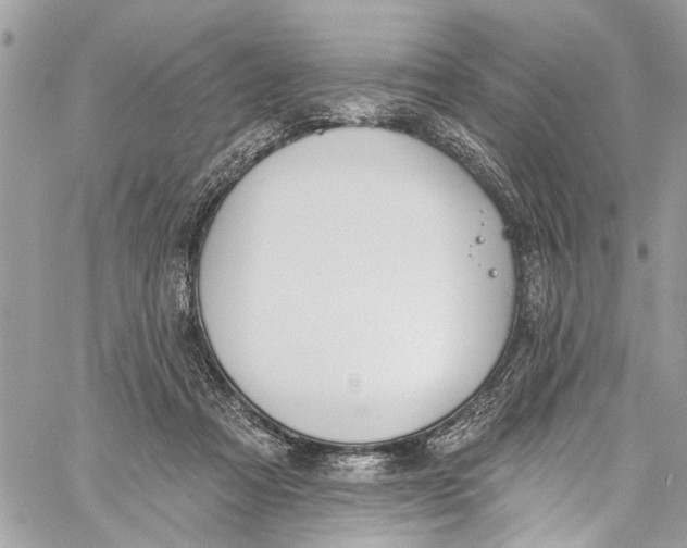 X0000060270313200511181426