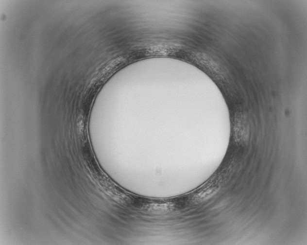 X0000060270314200511181426