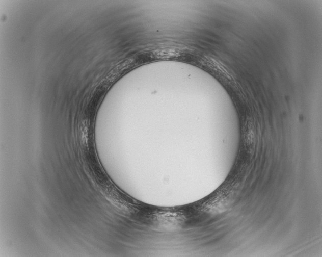 X0000060270315200511181426