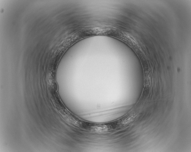 X0000060270317200511181426