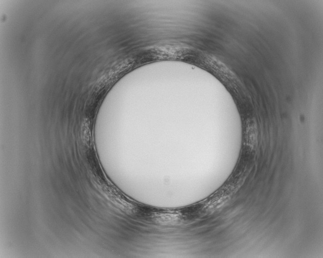 X0000060270318200511181426