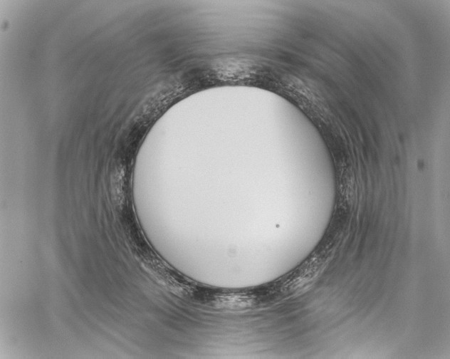 X0000060270319200511181426