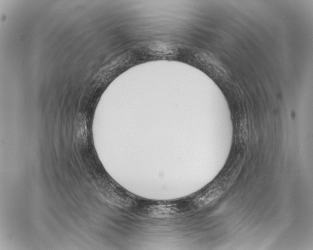 X0000060270320200511181426