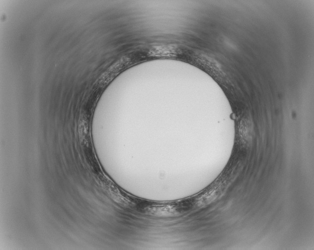 X0000060270322200511181426