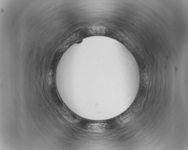 X0000060270323200511181426