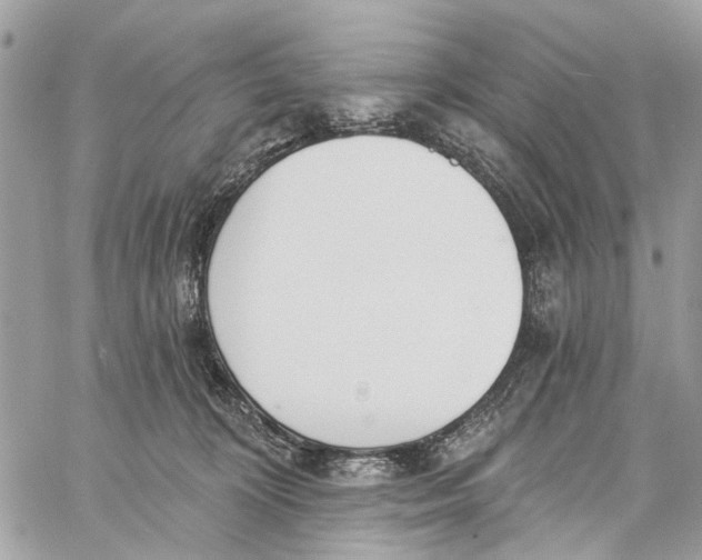 X0000060270324200511181426