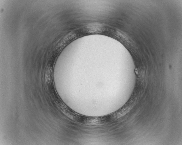 X0000060270325200511181426