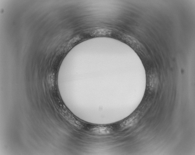 X0000060270326200511181426