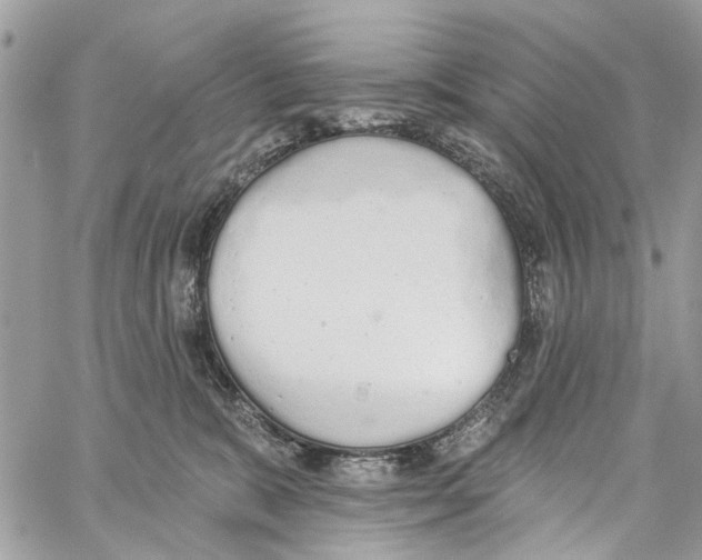 X0000060270327200511181426