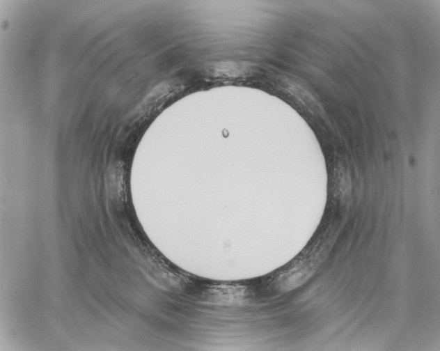 X0000060270328200511181426