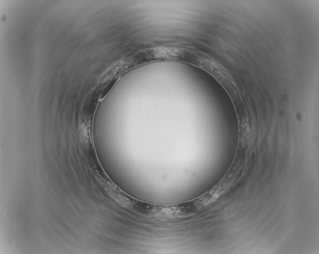 X0000060270329200511181426