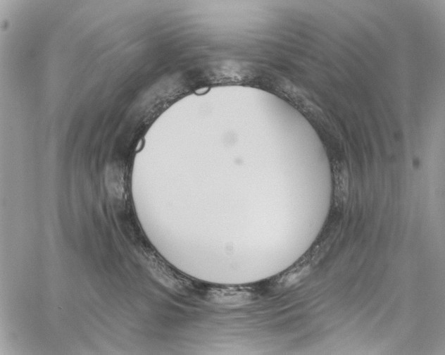 X0000060270331200511181426