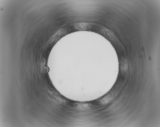 X0000060270332200511181426