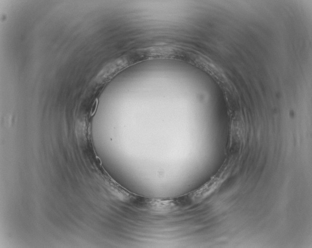 X0000060270333200511181426