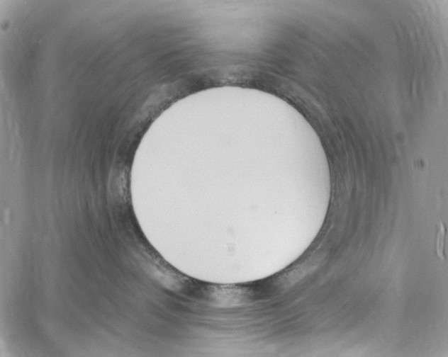 X0000060270336200511181426