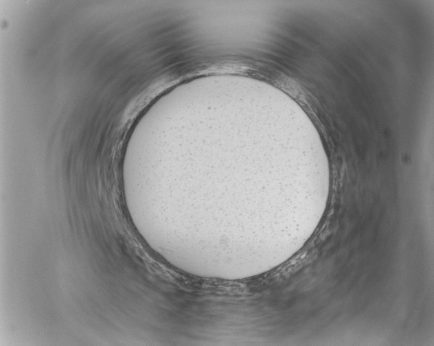 X0000060270337200511181425