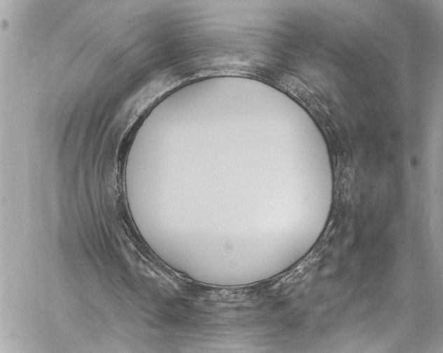 X0000060270338200511181425