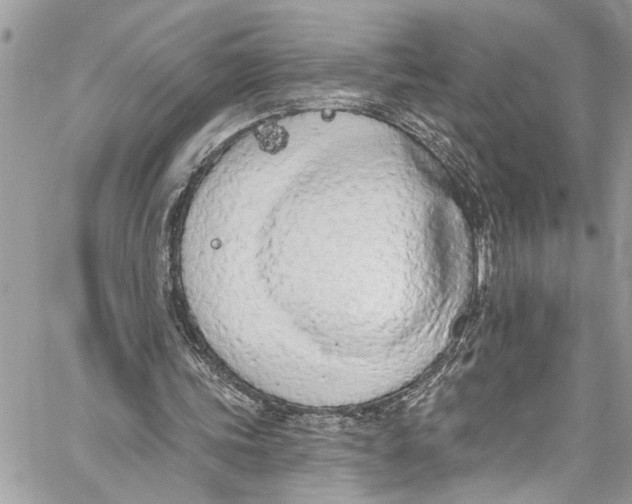 X0000060270339200511181425