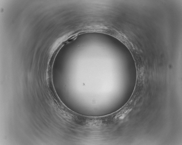 X0000060270340200511181425