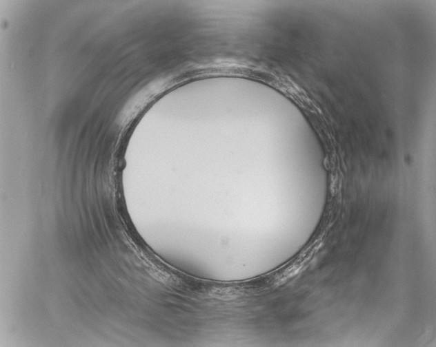 X0000060270341200511181425