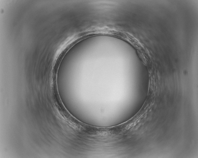 X0000060270344200511181425