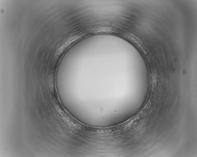 X0000060270345200511181425