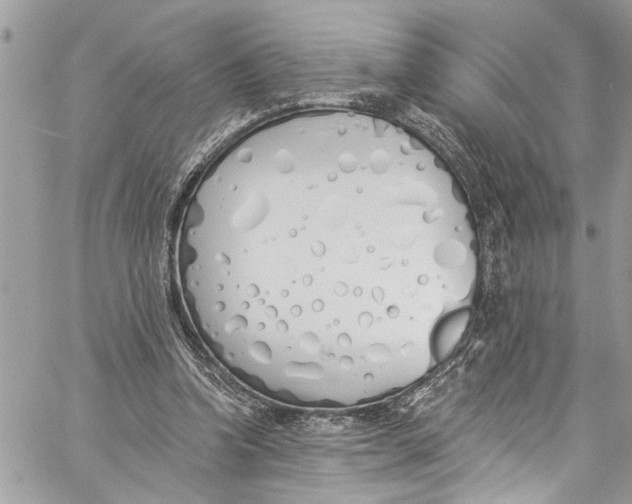 X0000060270346200511181425