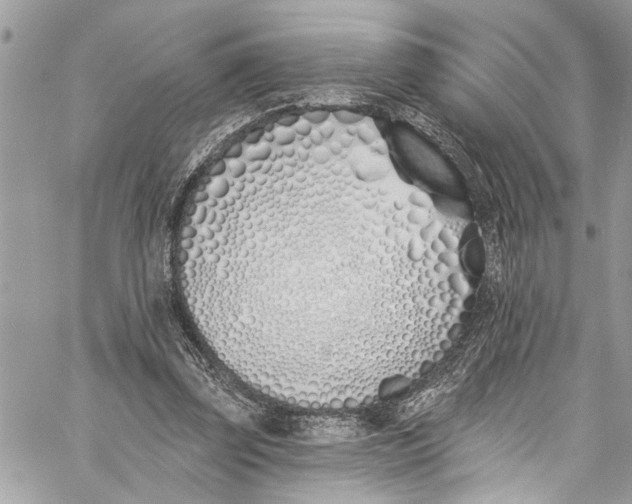 X0000060270347200511181425