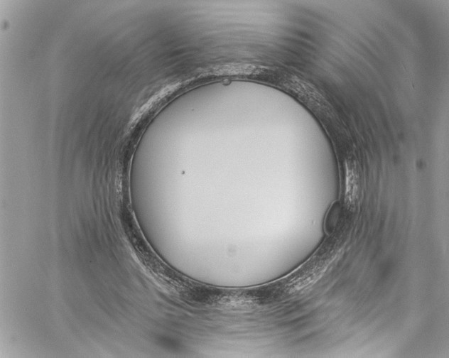 X0000060270348200511181425