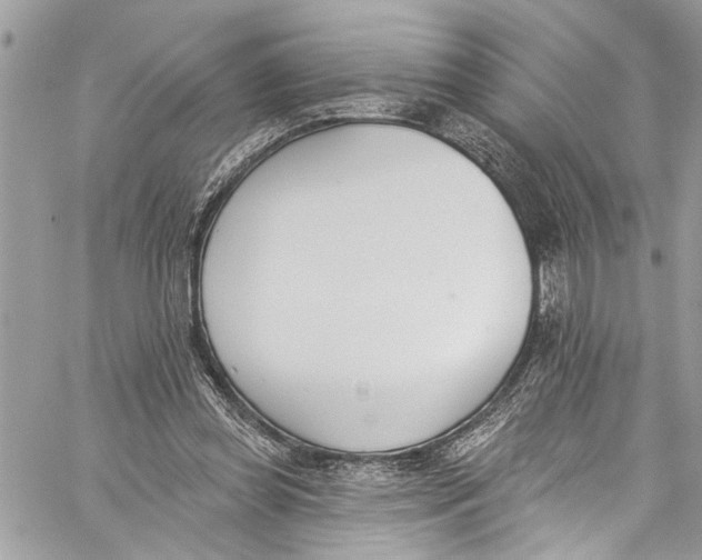 X0000060270349200511181425