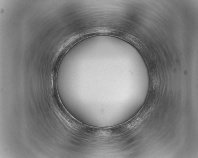 X0000060270350200511181425