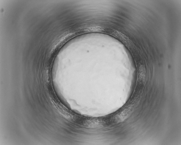 X0000060270351200511181425