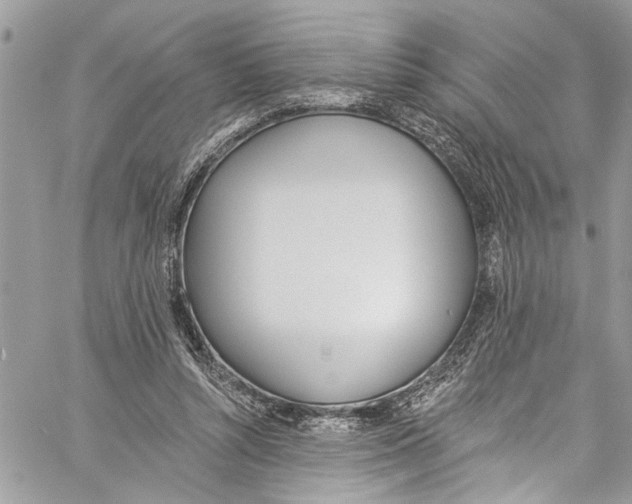 X0000060270352200511181425