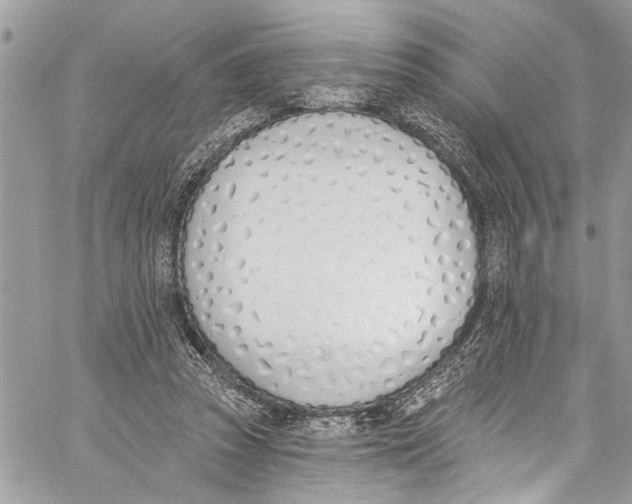 X0000060270353200511181425