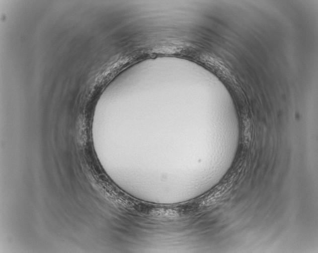 X0000060270354200511181425