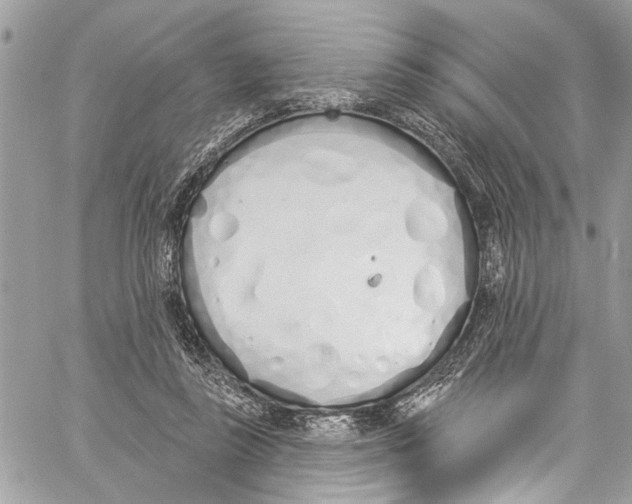 X0000060270355200511181425