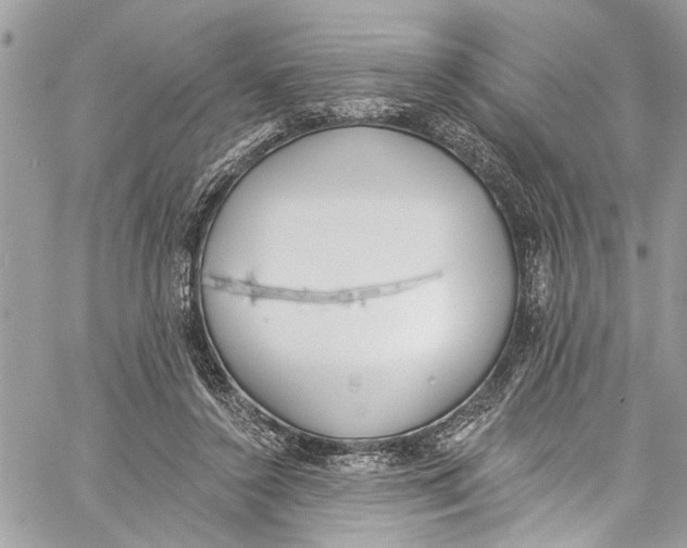 X0000060270356200511181425