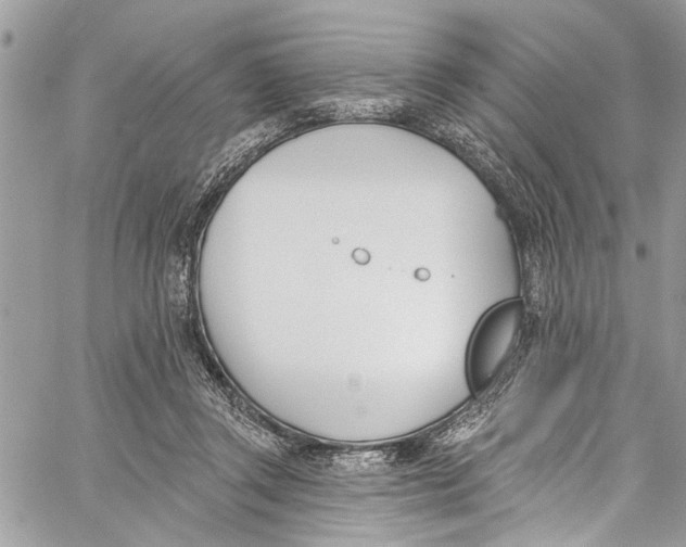 X0000060270357200511181425