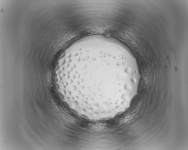 X0000060270359200511181425