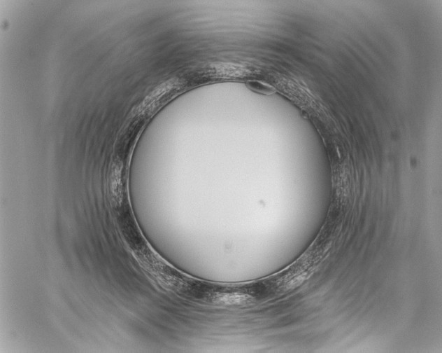 X0000060270360200511181425