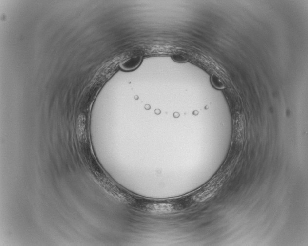 X0000060270361200511181425