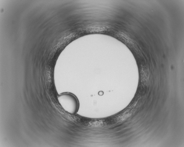 X0000060270362200511181425