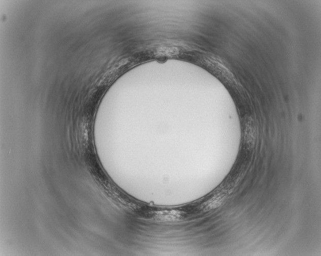 X0000060270363200511181425