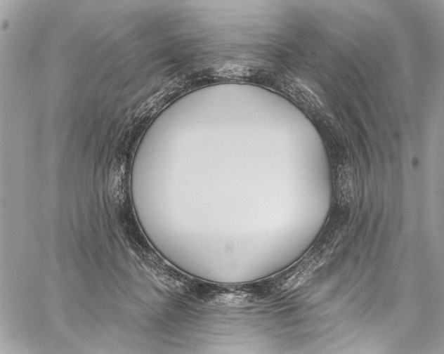 X0000060270364200511181425