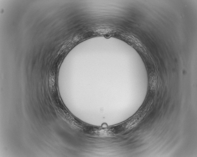 X0000060270365200511181425