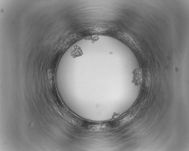 X0000060270366200511181425