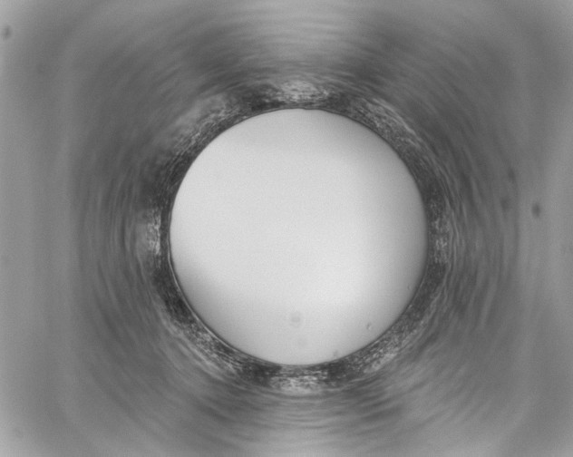 X0000060270368200511181425