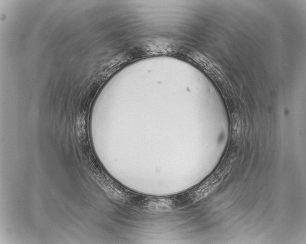 X0000060270369200511181425