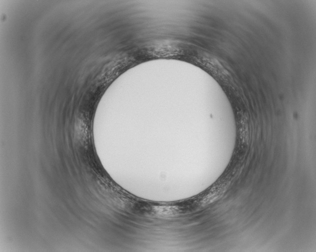 X0000060270371200511181425