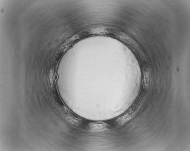 X0000060270372200511181425